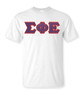  DISCOUNT Sigma Phi Epsilon Lettered T-shirt - Best Value 