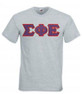  DISCOUNT- Sigma Phi Epsilon Lettered V-Neck T-Shirt 
