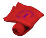  Sigma Phi Epsilon Sweatshirt Blanket 