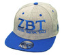  Zeta Beta Tau Flatbill Snapback Hats Original 