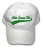  Alpha Gamma Rho New Tail Baseball Hat 