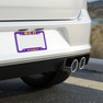 Phi Sigma Pi Year License Plate Frames