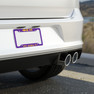 Phi Sigma Pi License Plate Frames