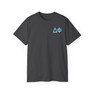 Delta Phi Flag T-shirts