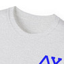 Delta Upsilon Flag T-shirts