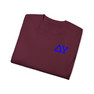 Delta Upsilon Flag T-shirts