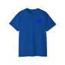 Delta Upsilon Flag T-shirts