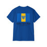 Delta Upsilon Flag T-shirts