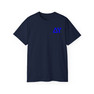 Delta Upsilon Flag T-shirts
