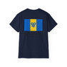 Delta Upsilon Flag T-shirts