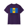 Delta Upsilon Flag T-shirts