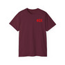 Phi Sigma Kappa Flag T-shirts