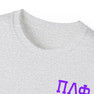 Pi Lambda Phi Flag T-shirts