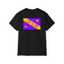 Pi Lambda Phi Flag T-shirts
