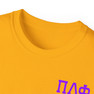 Pi Lambda Phi Flag T-shirts