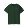 Pi Lambda Phi Flag T-shirts