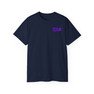 Pi Lambda Phi Flag T-shirts
