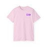 Pi Lambda Phi Flag T-shirts