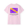 Pi Lambda Phi Flag T-shirts