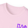 Pi Lambda Phi Flag T-shirts