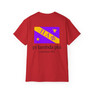 Pi Lambda Phi Flag T-shirts