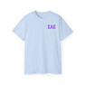 Sigma Alpha Epsilon Flag T-shirts