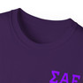 Sigma Alpha Epsilon Flag T-shirts