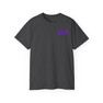 Sigma Lambda Beta Flag T-shirts