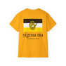 Sigma Nu Flag T-shirts