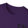 Sigma Nu Flag T-shirts