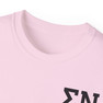 Sigma Nu Flag T-shirts