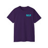 Theta Delta Chi Flag T-shirts