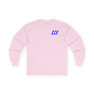 Delta Upsilon Flag Long Sleeve T-Shirt