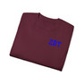 Zeta Beta Tau Flag T-shirts