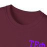 Tau Epsilon Phi Flag T-shirts