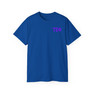 Tau Epsilon Phi Flag T-shirts