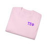 Tau Epsilon Phi Flag T-shirts