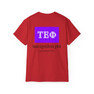 Tau Epsilon Phi Flag T-shirts