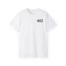 Phi Kappa Sigma Flag T-shirts