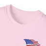 Phi Sigma Kappa Patriot Limited Edition Tees
