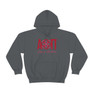 Alpha Omicron Pi Logo Unisex Heavy Hooded Sweatshirt