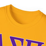 DELTA SIGMA PI LETTERED TEE - $24.95