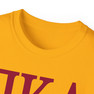 PI KAPPA ALPHA LETTERED TEE - $24.95