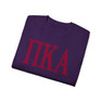 PI KAPPA ALPHA LETTERED TEE - $24.95