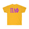 PI LAMBDA PHI LETTERED TEE - $24.95