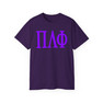 PI LAMBDA PHI LETTERED TEE - $24.95