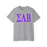 SIGMA LAMBDA BETA LETTERED TEE - $24.95