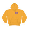 Theta Xi World Famous Crest - Shield Hooded Sweatshirts