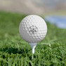 Lambda Phi Epsilon Golf Balls, Set of 6