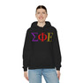 Sigma Phi Epsilon Logo Hooded Sweatshirts